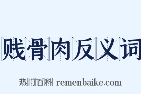 贱骨肉反义词是什么意思的图片